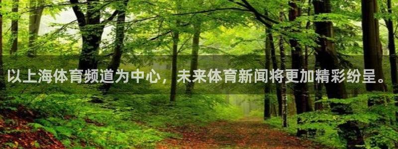 以上海体育频道为中心，未来体育新闻将更加精彩纷呈。