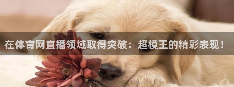 在体育网直播领域取得突破：超模王的精彩表现！