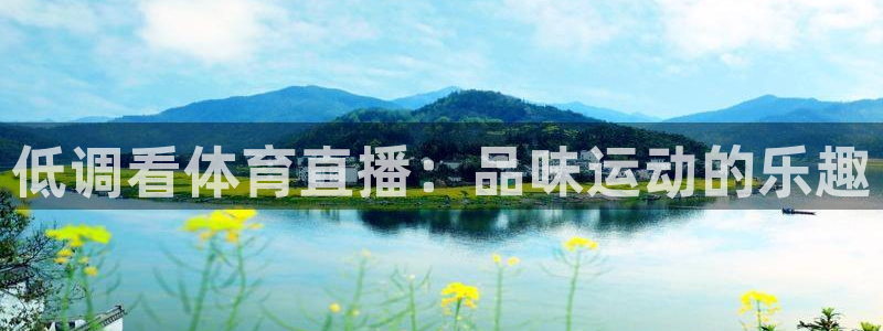 低调看体育直播：品味运动的乐趣