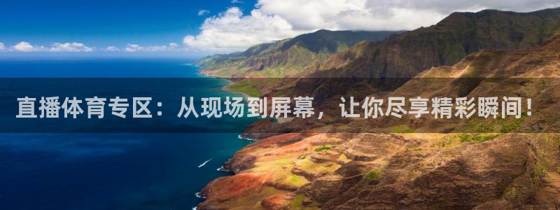 直播体育专区：从现场到屏幕，让你尽享精彩瞬间！