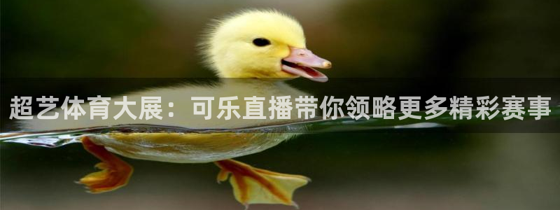 超艺体育大展：可乐直播带你领略更多精彩赛事