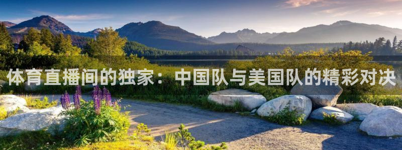 体育直播间的独家：中国队与美国队的精彩对决