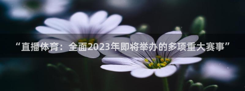 “直播体育：全面2023年即将举办的多项重大赛事”