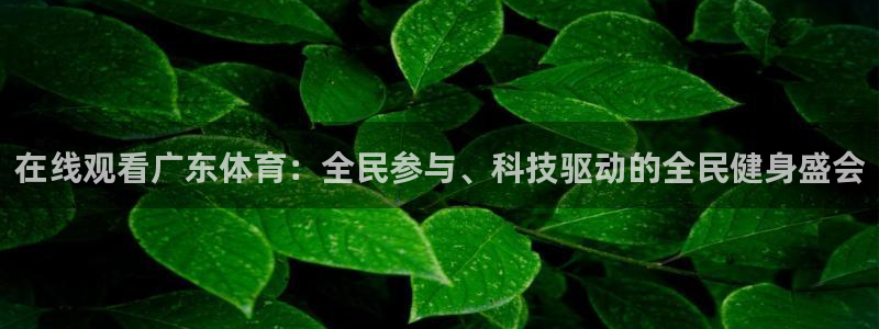 在线观看广东体育：全民参与、科技驱动的全民健身盛会